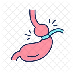 Gastric bypass surgery  Icon