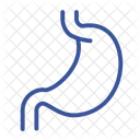 Gastrointestinal Barriga Estomago Ícone
