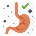 Digestion Gastroenterology Stomach Icon