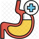 Gastroenterology Human Stomach Icon