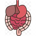 Gastrointestinal Digestion Stomach Icon