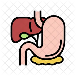 Gastrointestinal Tract  Icon