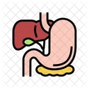 Gastrointestinal Tract Gastrointestinal Consultation Icône