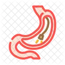 Gastroscopie Procedure Gastro Enterologue Icône