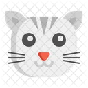 Gatito Gato Gato Icon