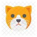 Gatito Gato Gato Icon