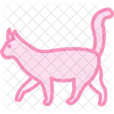 Gato Animal De Estimacao Felino Ícone