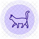 Gato Ícone