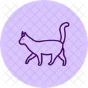 Gato Animal De Estimacao Felino Ícone