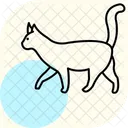 Gato Animal De Estimacao Felino Ícone