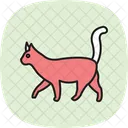 Gato Animal De Estimacao Felino Ícone