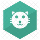 Gato Animales Mascota Icono