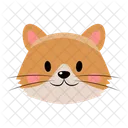  Ícone