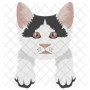 Gato Cara De Gato Mascota Icono