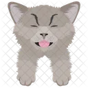 Gato Cara De Gato Mascota Icono