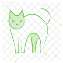 Gato de halloween  Icono
