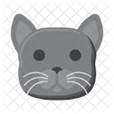 Gato de pêlo curto britânico  Ícone