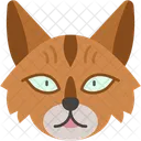Gato Del Bosque Noruego Pelaje Grueso Y Fuerte Icono