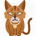 Gato Del Bosque Noruego Pelaje Grueso Y Fuerte Icono
