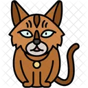 Gato Del Bosque Noruego Pelaje Grueso Y Fuerte Icono