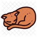 Gato dormindo  Icon