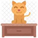 Gato en el cajón  Icono