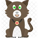 Gato deslumbrado  Icono
