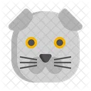 Gato plegable escocés  Icon