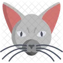 Gato  Icono