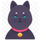 Gato  Icono