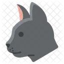 Gato  Icono