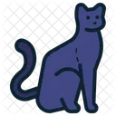 Gato  Icono