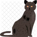 Gato Brujeria Halloween Icono
