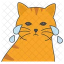 Gato Llorando Gato Triste Expresion Icono