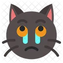 Gato llorando  Icono