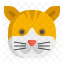 Gato Munchkin Gato Mascota Gato Icono