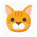 Gato Munchkin Gato Mascota Gato Icono