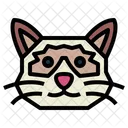 Gato Ragdoll Gato Razas Icon