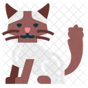 Gato muñeca de trapo  Icon