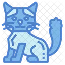 Gato muñeca de trapo  Icon