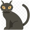 Gato negro  Icono