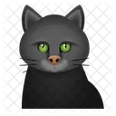 Gato Negro Gato Halloween Icono