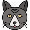 Gato Ragdoll Negro Pelaje Oscuro Esponjoso Icono
