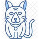 Gato Ragdoll Negro Pelaje Oscuro Esponjoso Icono