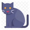 Gato Gatito Gato Negro Icono