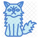 Gato persa  Icon