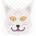 Gato Selkirk Rex Pelaje Rizado Suave Icono