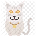 Gato Selkirk Rex Pelaje Rizado Suave Icono