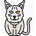 Gato Selkirk Rex Pelaje Rizado Suave Icono