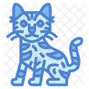 Gato serengeti  Icon